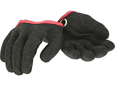 raven202606031931572416280