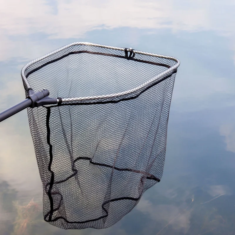 reniersfishing202606031850482377210