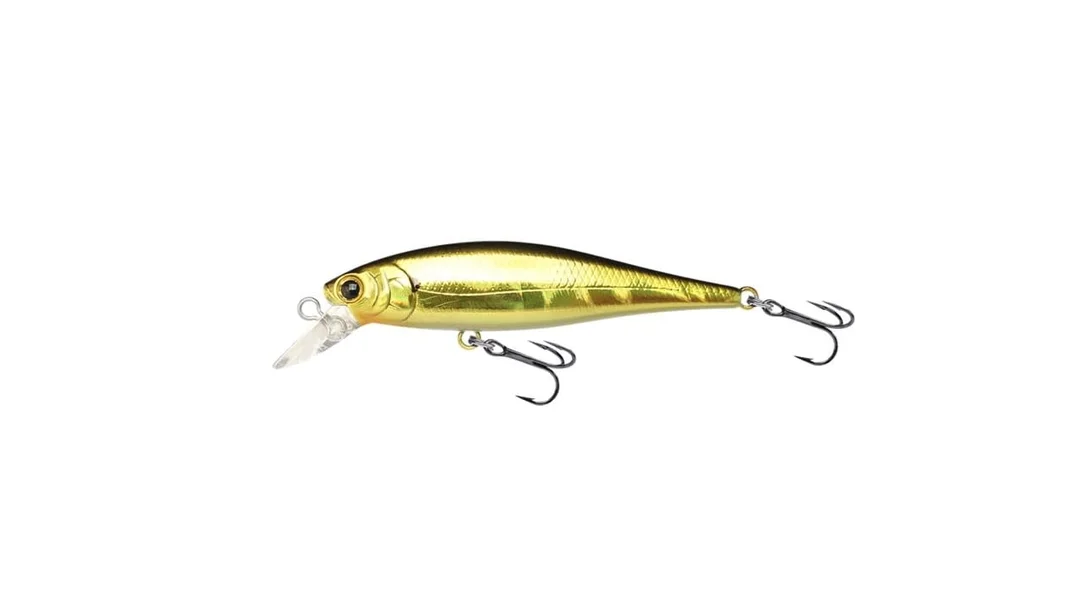 reniersfishing202606031851062377535
