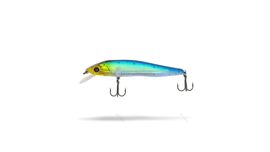 reniersfishing202606031920412405389