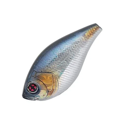 reniersfishing202606031934112418406