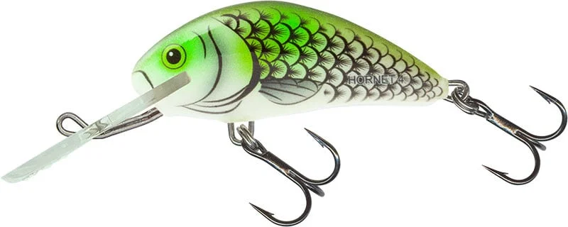 reniersfishing202606031935102419341