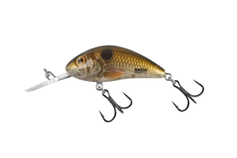 reniersfishing202606031935162419440