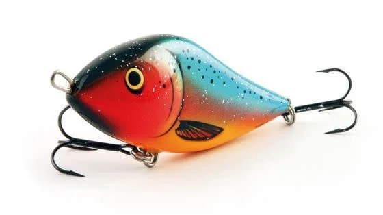reniersfishing202606031935202419499