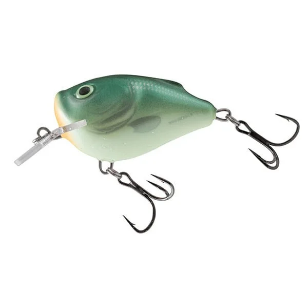 reniersfishing202606031935212419510