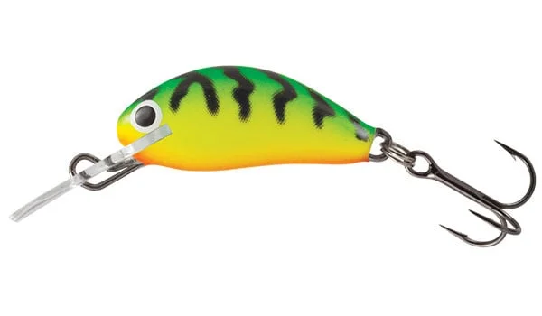 reniersfishing202606031935242419551