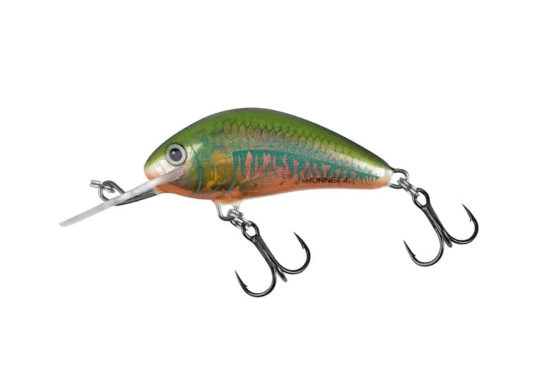 reniersfishing202606031935262419581