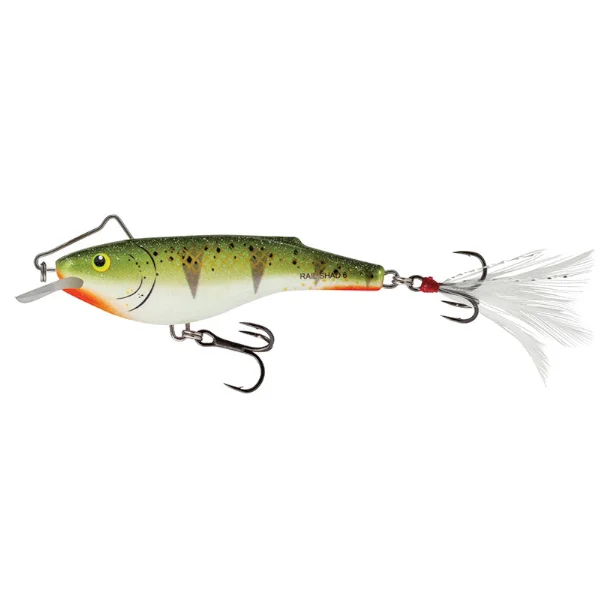 reniersfishing202606031935382419759