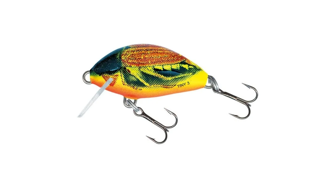 reniersfishing202606031935422419838