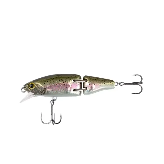 reniersfishing202606031938242422413