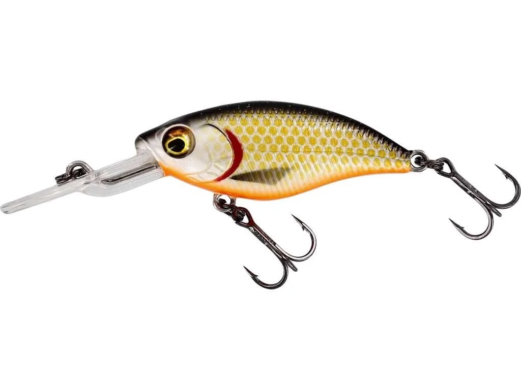 reniersfishing202606031957082439199