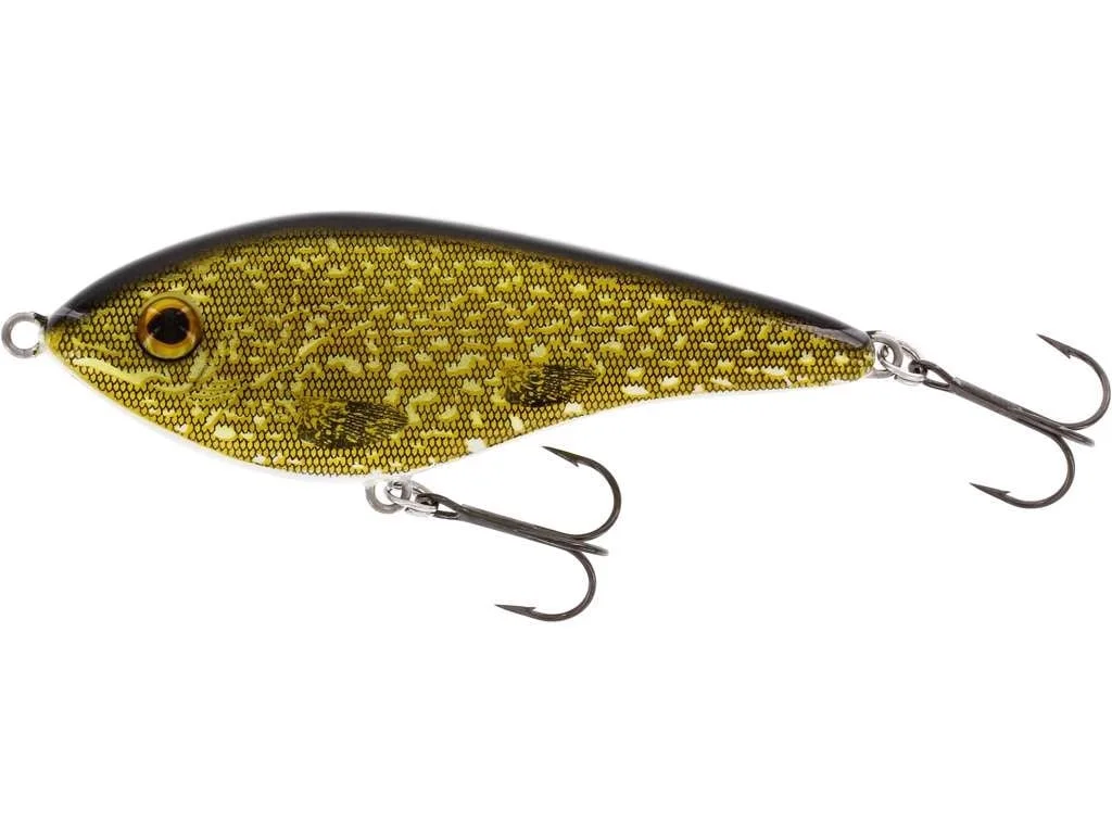 reniersfishing202606031958082439985