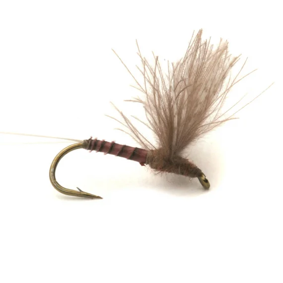 sportfishtackle202606031932152416574