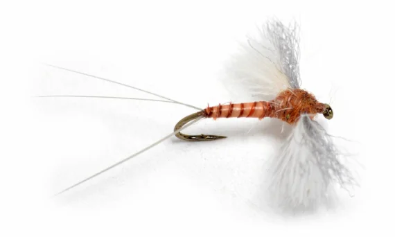 sportfishtackle202606031932242416713