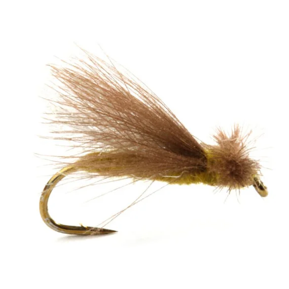 sportfishtackle202606031932282416767