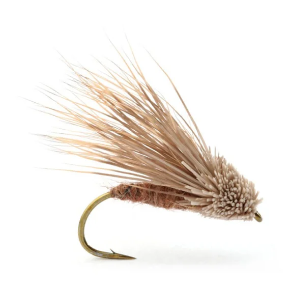 sportfishtackle202606031932392416955