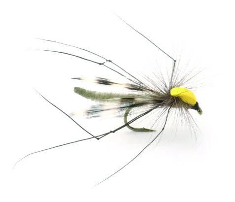 sportfishtackle202606031934012418254