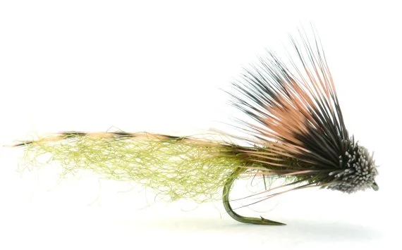 sportfishtackle202606031934072418350