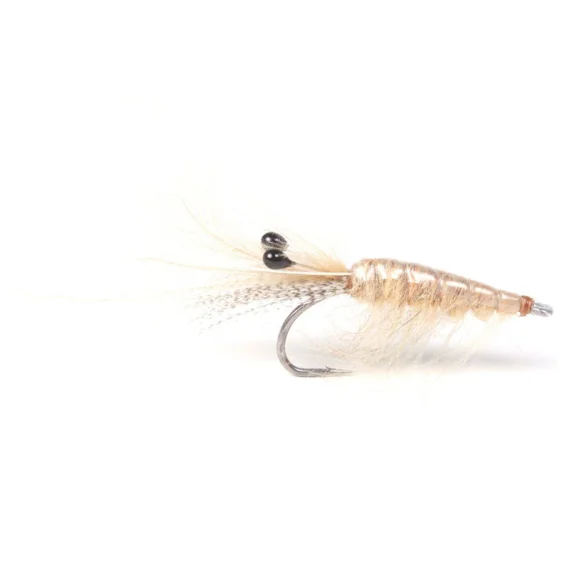 sportfishtackle202606031935302419634