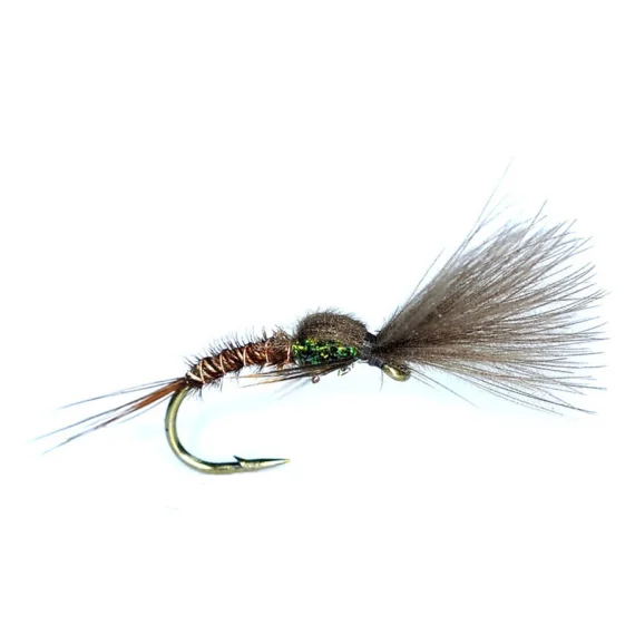 sportfishtackle202606031944072427798