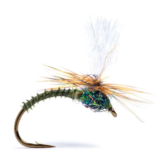 sportfishtackle202606031944382428242
