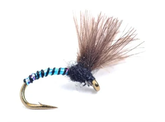 sportfishtackle202606031944522428467