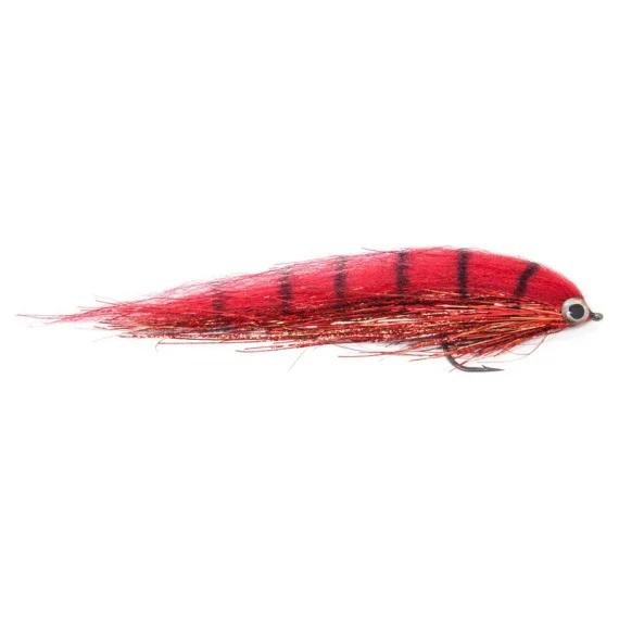 sportfishtackle202606031947492431058