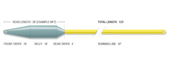 sportfishtackle202606031950482433697