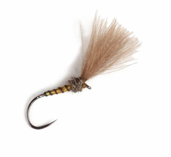 sportfishtackle202606031952192435026