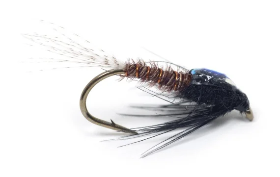 sportfishtackle202606031952542435545