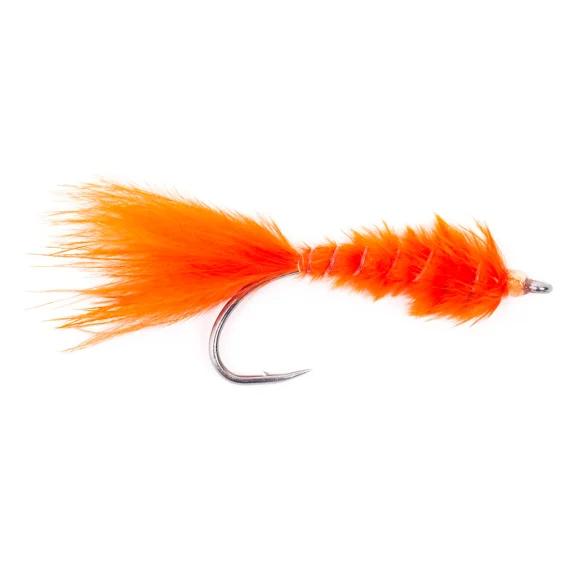 sportfishtackle202606031956422438835