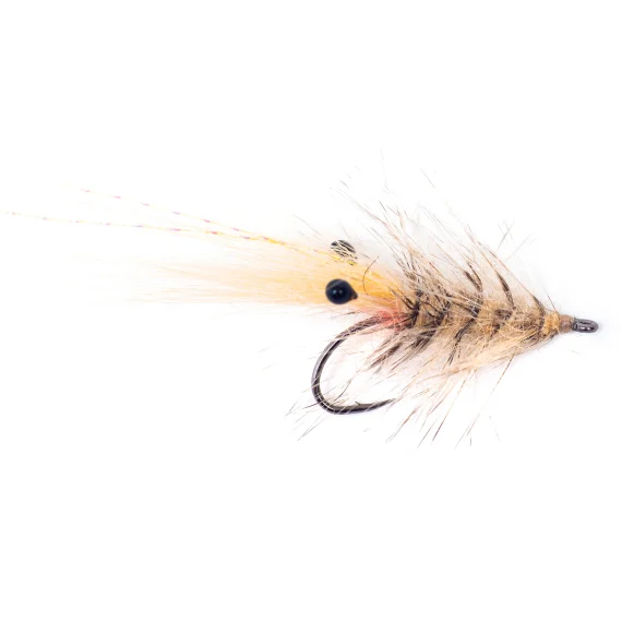 sportfishtackle202606031956542438998