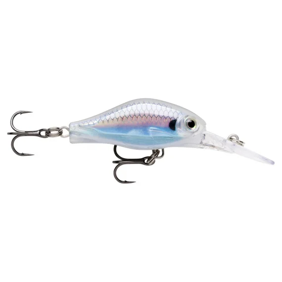 sportfishtackle202606032018472456084