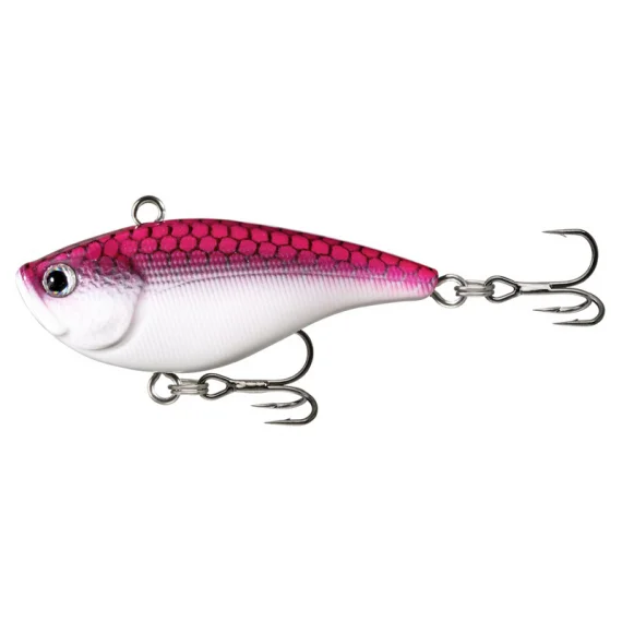 sportfishtackle202606032036512469229