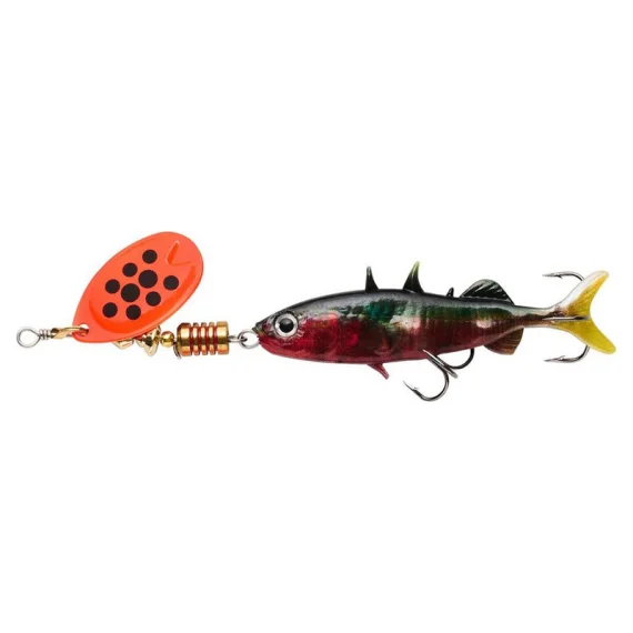 sportfishtackle202606032104562488607
