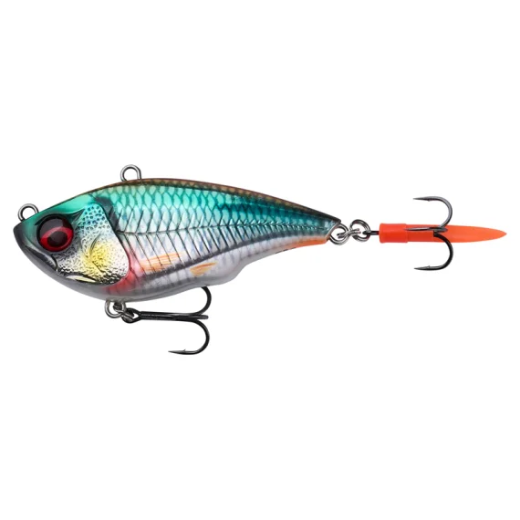 sportfishtackle202606032109382491768