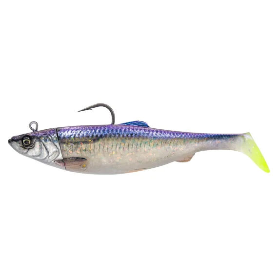sportfishtackle202606032115062495375
