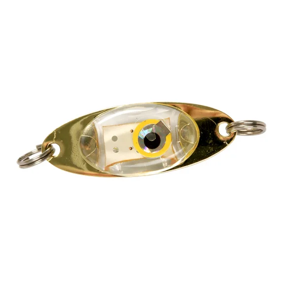 sportfishtackle202606032125042501388