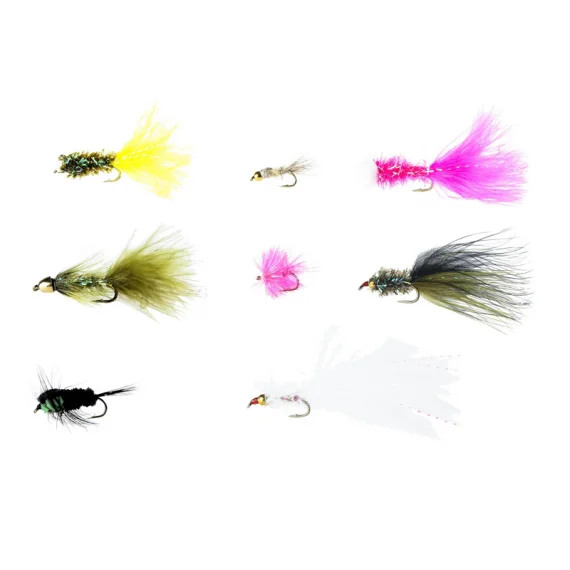 sportfishtackle202606032126472502156