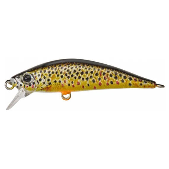 sportfishtackle202606032158482516602