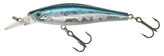 sportfishtackle202606032159252516877