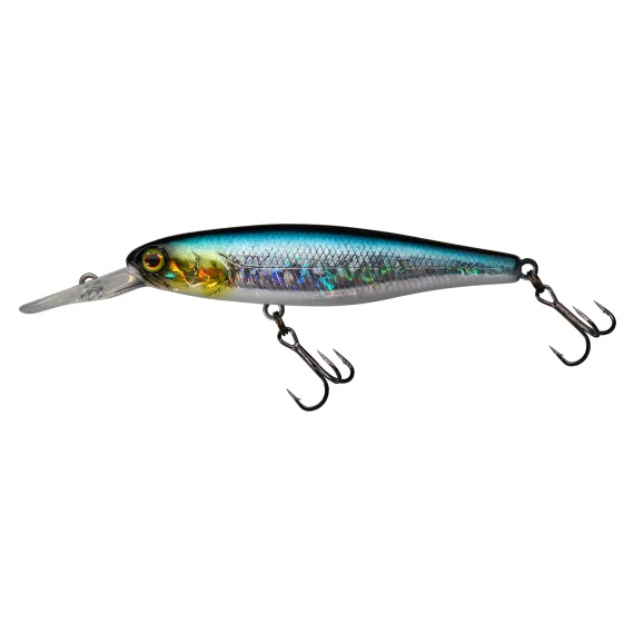 sportfishtackle202606032206542519966
