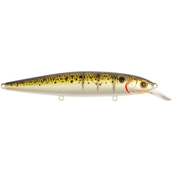 sportfishtackle202606032207312520178