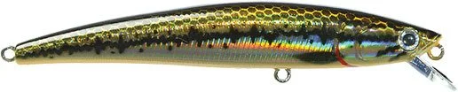 sportfishtackle202606032208252520479