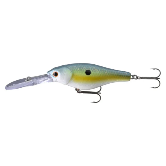 sportfishtackle202606032218262524084