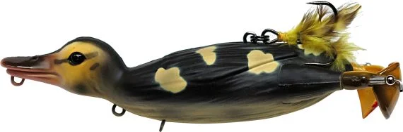 sportfishtackle202606032250292537468