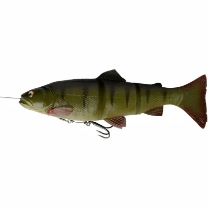 sportfishtackle202606032251562538088