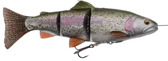 sportfishtackle202606032253282538733
