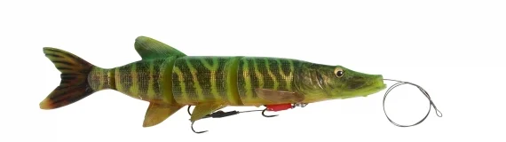 sportfishtackle202606032306082543108