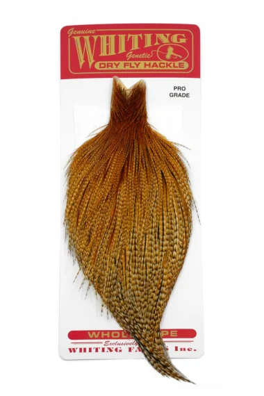 sportfishtackle202606032344002553785